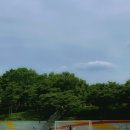 서구-02-96 이미지