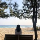 얼라이브 노브(ALIVE KNOB) | 강릉여행 둘째날_얼라이브홈, 노브일리, 대관령하늘목장, 형제칼국수, 오월카페, 송정해변