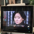 더리얼푸릇 이미지