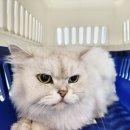 사랑해요동물병원 이미지