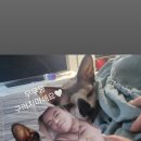 루이앤코코 이미지