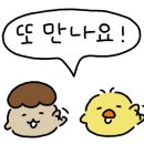 주식회사 인스텔라 이미지