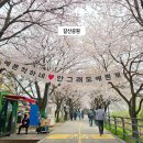 양평읍 창대리 718-13 | 양평 아이와 가볼만한곳 갈산공원 벚꽃 데이트 경기도 숲놀이터 놀거리