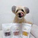 멍멍까까 이미지