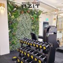 피티아지트