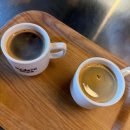 도서관 마당에서 가을 숲 캠핑 이미지