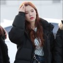 엘리 이미지