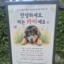 '카이'가 아파서 서로를 위로해! 이미지