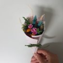 꼬피운