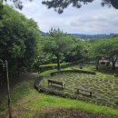 제주청개구리부동산중개 이미지