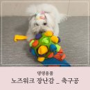 축구공(하나) | 강아지 노즈워크 장난감 축구공 후기