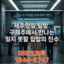 올랭이와물꾸럭구제주점 | 제주맛집, 신제주 맛집부터 소노벨 제주 맛집까지 현지인이 추천하는 숨은 보석 | 실패 없는 맛집 리스트