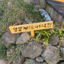 엉알게스트하우스 이미지