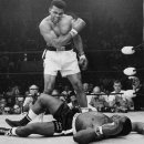 알리와 윌리 이미지