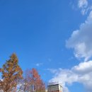 덕진-16 | 전주 1박 2일 겨울 여행 코스 가족과 함께 다녀오기 좋은 덕진공원 연화정 전북대 근처 후기(주차)