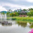 그늘막73 이미지