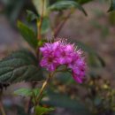 영남유치원 이미지