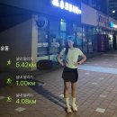 정만출 | 여자 입문 러닝화 아식스 노바블라스트5 가격, 사이즈, 5개월 사용 후기