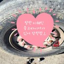 미쉐린경북서비스센터 이미지
