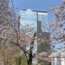 더 링크 서울, 트리뷰트 포트폴리오 호텔 이미지