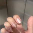 네일톤 이미지