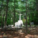 겟세마니동산 이미지