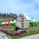삼문산진달래공원 이미지
