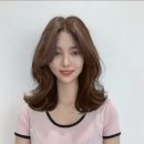 스테디헤어 이미지