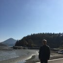 하과도 네이버블로그