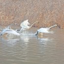 용포마을 이미지