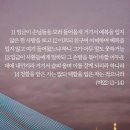 * 노벨상 시상식이 감동적이네요.^^ - 조태성 이미지