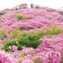 이루는 여행사 이미지