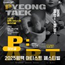 P.Art (피.아트)