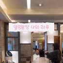 도영헤어살롱
