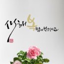 인스케어코어 이미지