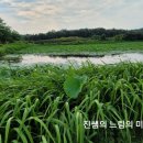신왕제 네이버블로그