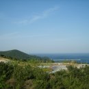 (주)중앙조경 네이버블로그