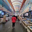 럭키힐링여행캠프 통해서 간 포항 - 죽도시장, 환호공원(스페이스워크) 후기
