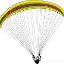 ﻿네이버 용어사전 (패러글라이딩 [ paragliding ]) 이미지