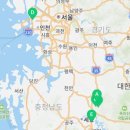 야옹아 멍멍해봐 강아지고양이 청주동남점 이미지