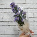 [경산영남대맛집]역전우동0410 경산영남대점_(소불고기김치덮밥+우동 세트)