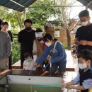 퍼스트가든(삐아또 고매) 이미지