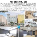 동산항공여행사