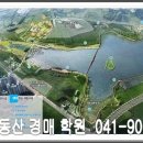 제방도로 Daum카페