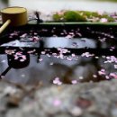 가람가에 이미지