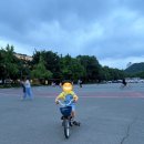 대구 아이와 가볼 만한 곳｜두류공원 자전거 대여 후기 (유치원생 자전거 연습)