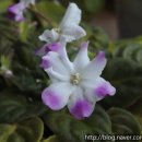 인우행정사사무소 이미지