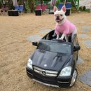 멍아일랜드 이미지