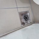 세븐일레븐 진천혁신내안애점 | 진천줄눈 충북혁신도시 아모리움내안애 욕실 시공 타일 물때 제거