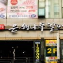 은행나무갈매기 이미지